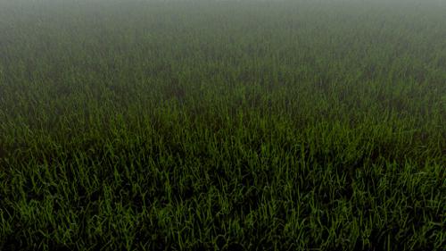 Realistic Grass in Cycles preview image